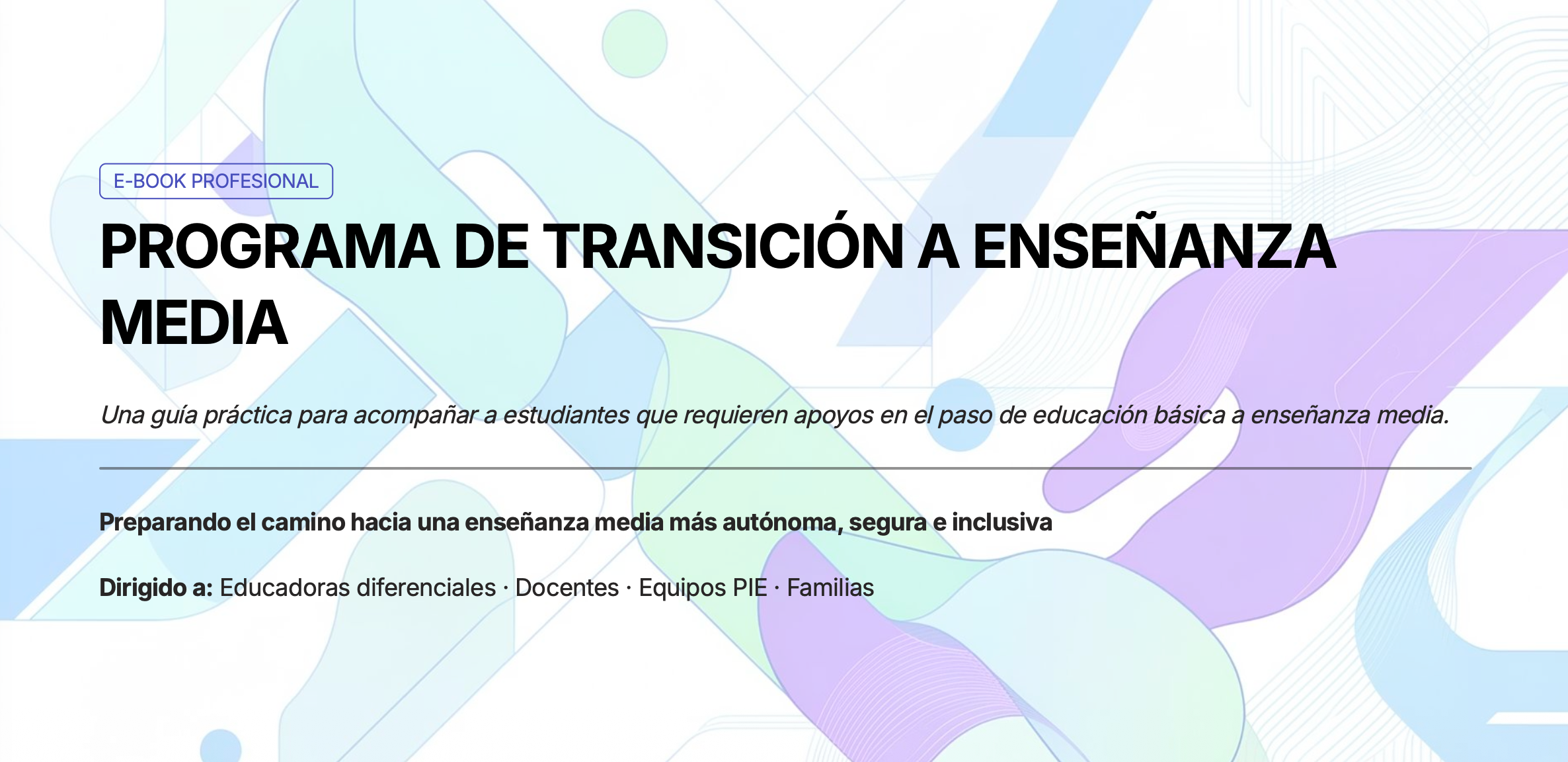 E-book Profesional: Programa de Transición a Enseñanza Media